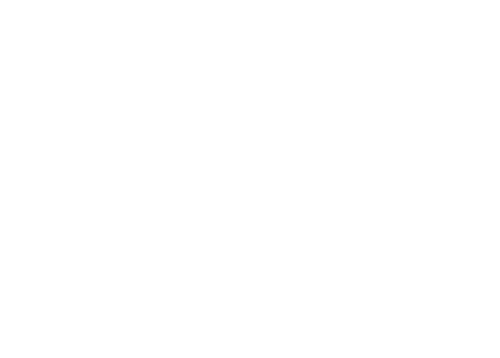 beauty business summit sponsor holistic dermal professionals